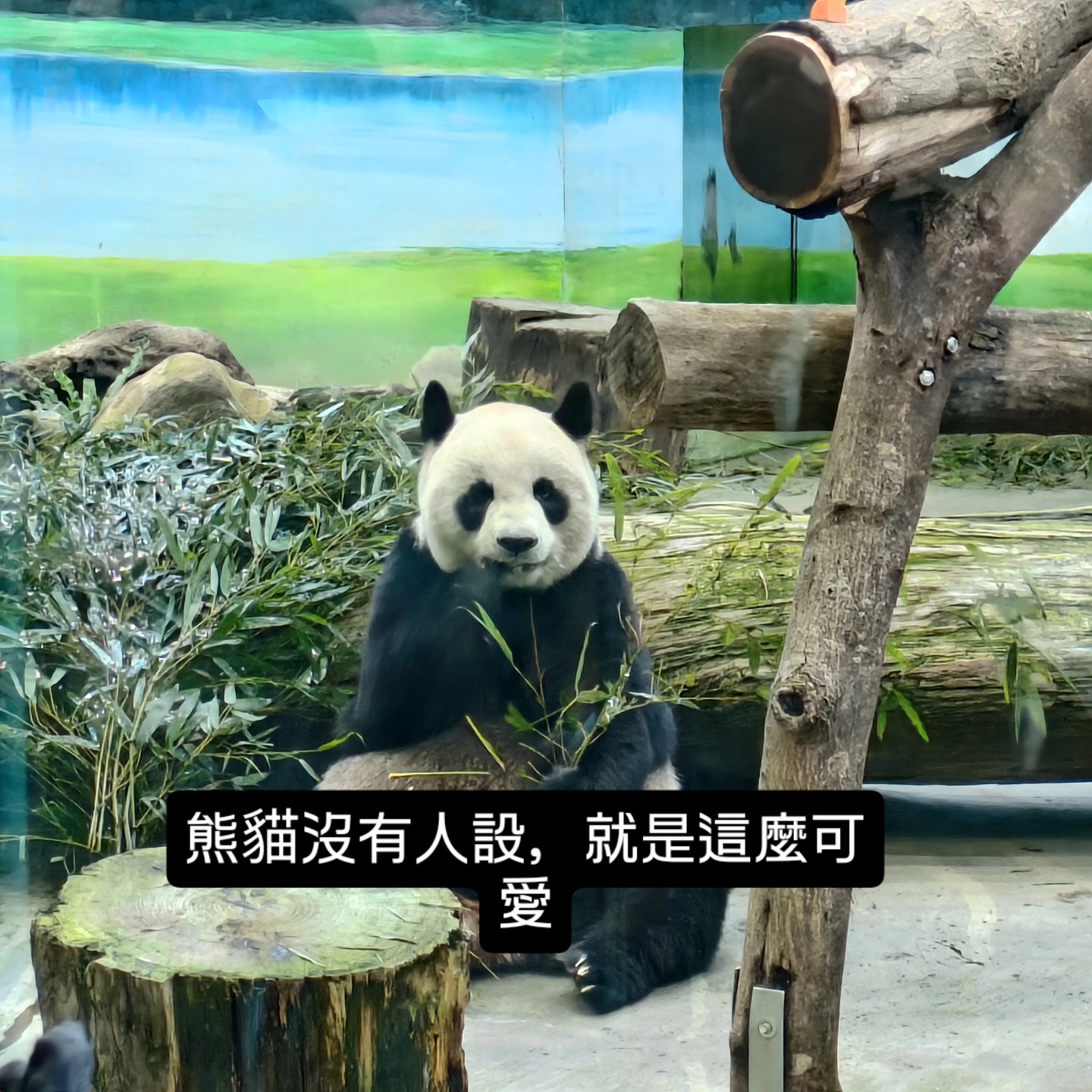 人設破解法