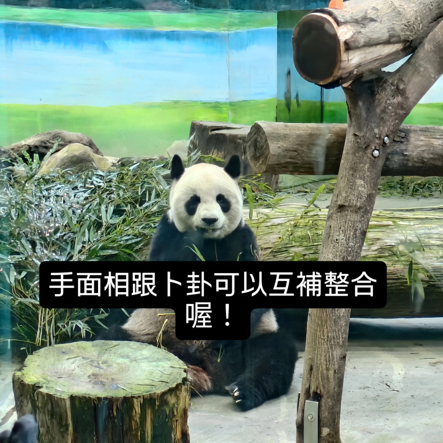 卜卦整合看相
