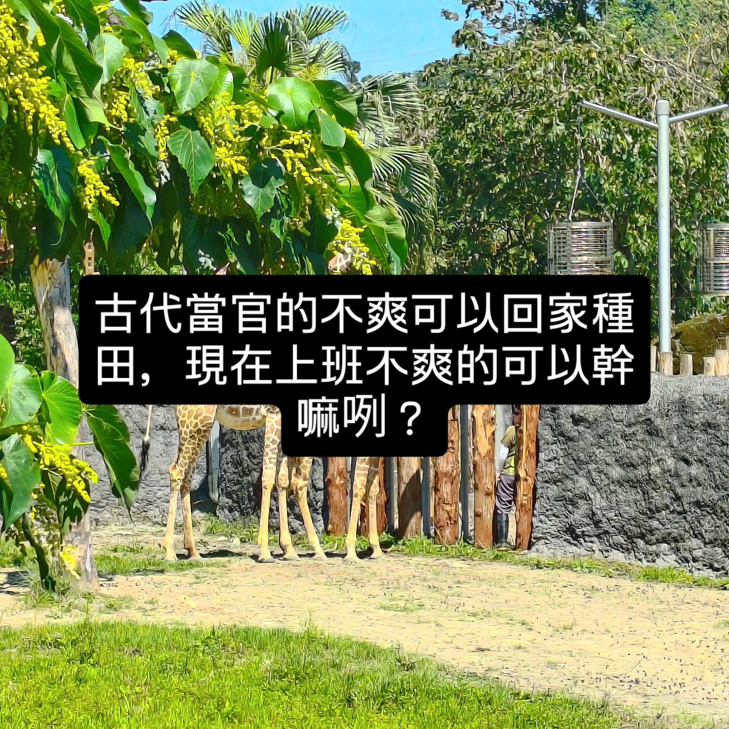 後路
